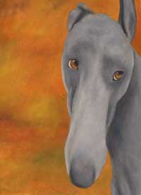 Why the Long Face by Jayne Herbert